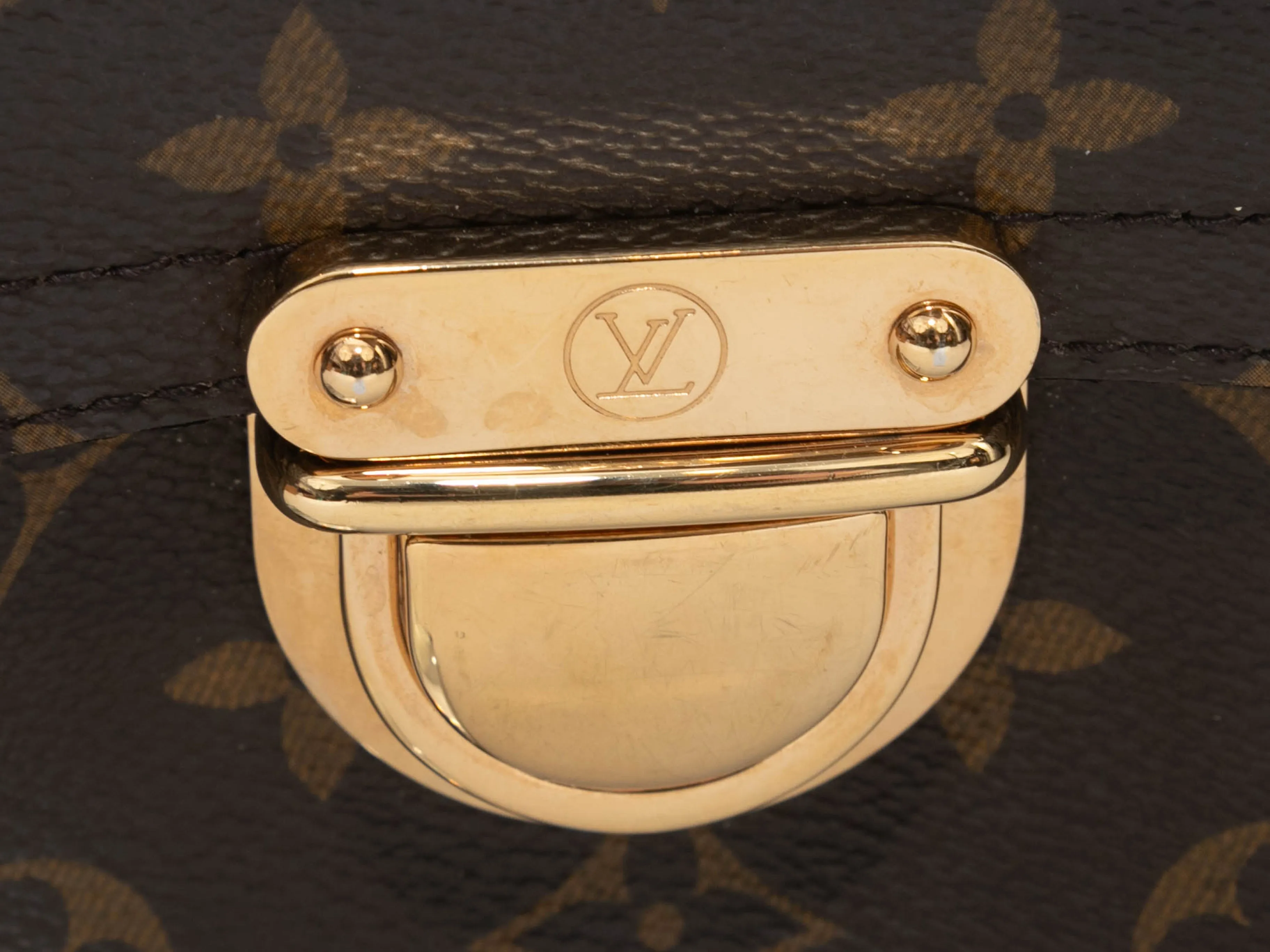Brown Louis Vuitton Monogram Hudson PM Bag