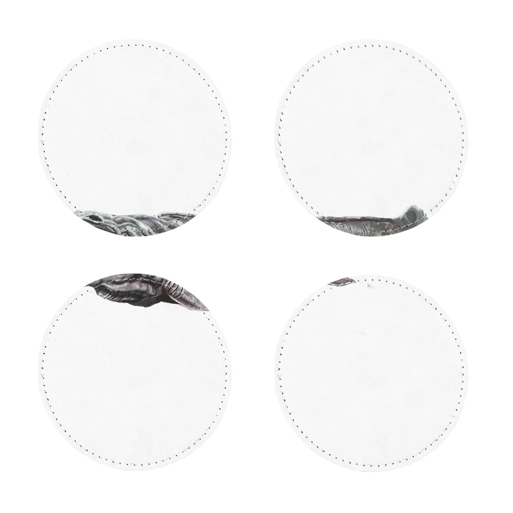 Dino Sea Creature Sublimation Coasters Pack of Four