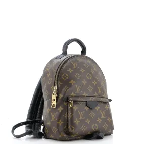 Louis Vuitton Palm Springs Backpack