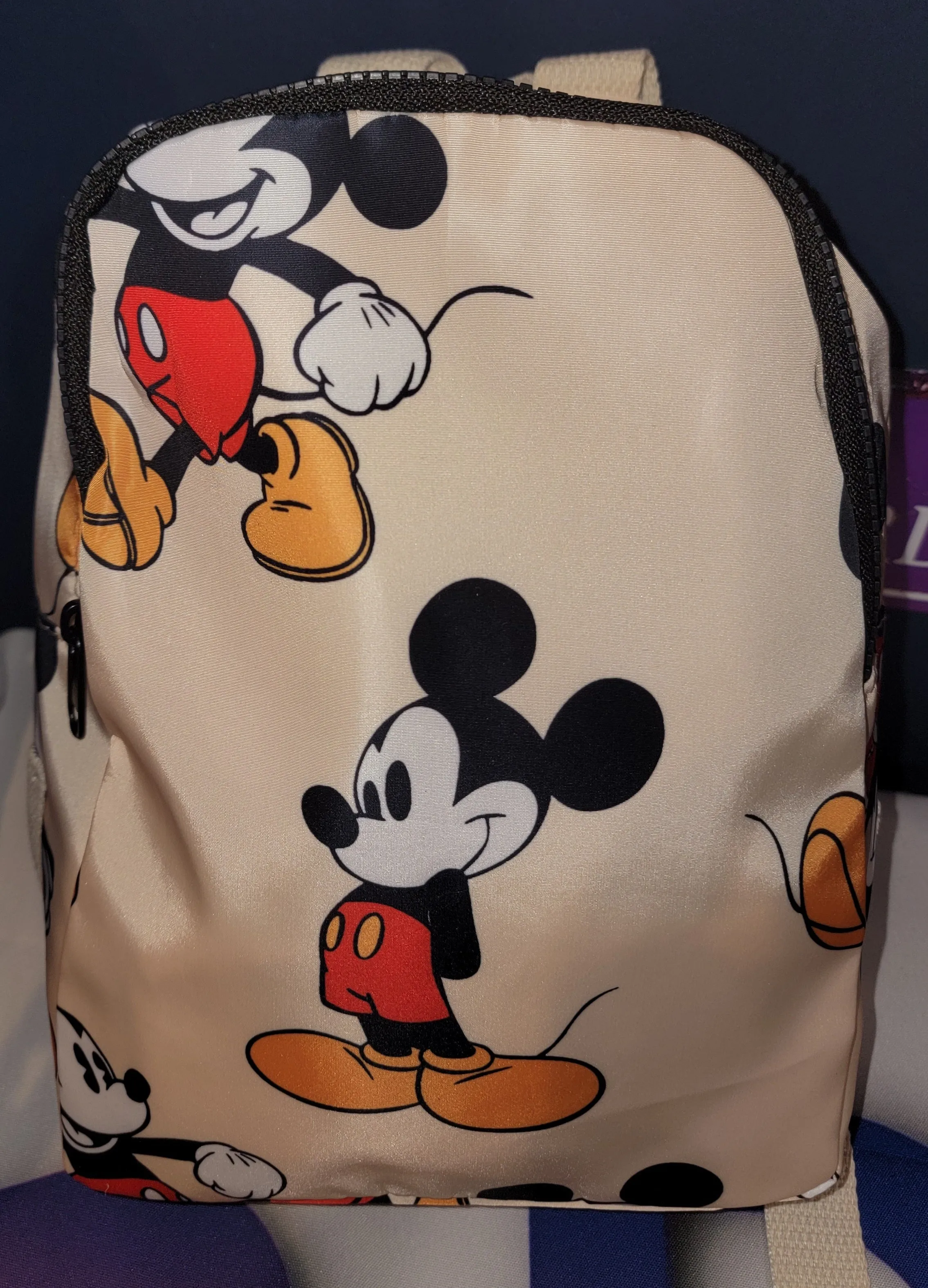 Theme Backpack Mystery Picks (FB Live Sun 13 Apr @ 12pm CT)